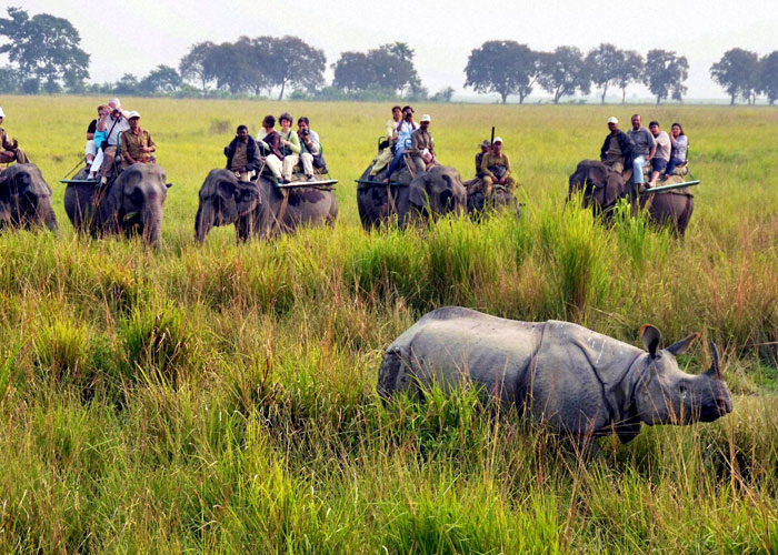 jim corbett national park