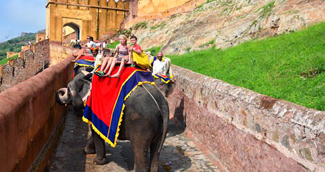 Elephant Ride Jaipur