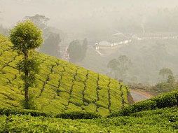 Munnar