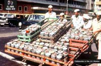 India Day Tours Dabbawala