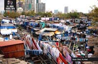 India Day Tour Dharavi