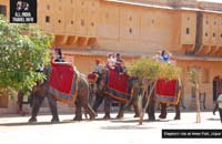 Guided Same Day Tour Jaipur