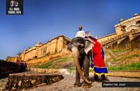 Guided Same Day Tour Jaipur