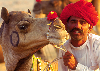 Rajasthan Incentive Tour